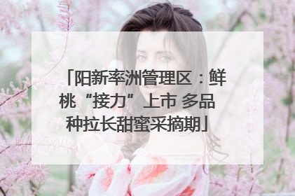 阳新率洲管理区：鲜桃“接力”上市 多品种拉长甜蜜采摘期