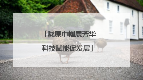 陇原巾帼展芳华 科技赋能促发展