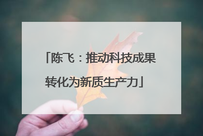 陈飞：推动科技成果转化为新质生产力