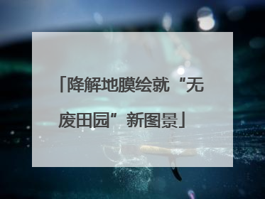 降解地膜绘就“无废田园”新图景