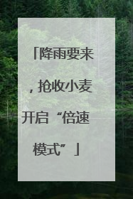 降雨要来，抢收小麦开启“倍速模式”