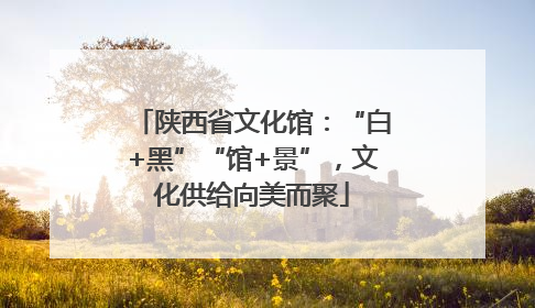 陕西省文化馆：“白+黑”“馆+景”，文化供给向美而聚
