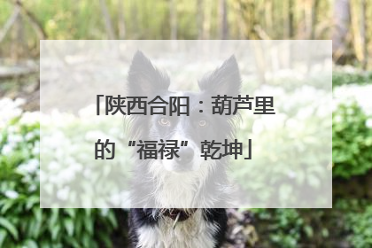 陕西合阳：葫芦里的“福禄”乾坤