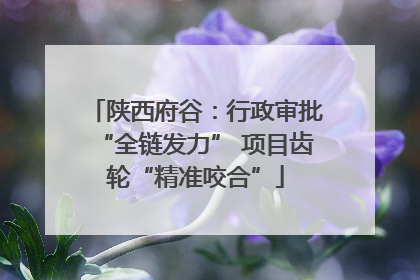 陕西府谷：行政审批“全链发力” 项目齿轮“精准咬合”
