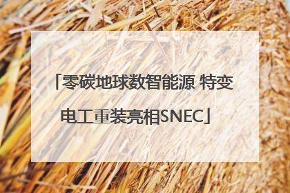 零碳地球数智能源 特变电工重装亮相SNEC