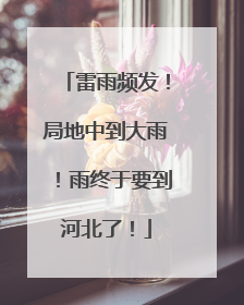 雷雨频发！局地中到大雨！雨终于要到河北了！