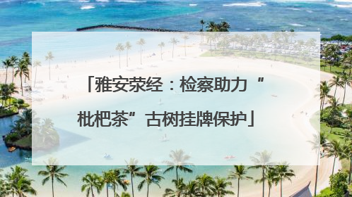 雅安荥经：检察助力“枇杷茶”古树挂牌保护