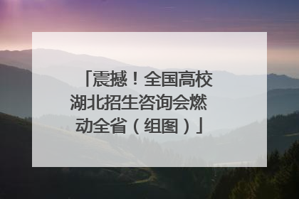 震撼！全国高校湖北招生咨询会燃动全省（组图）