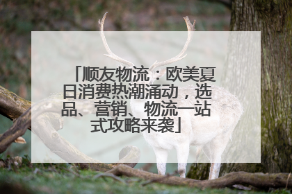 顺友物流：欧美夏日消费热潮涌动，选品、营销、物流一站式攻略来袭