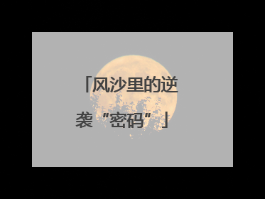 风沙里的逆袭“密码”