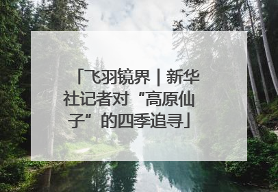 飞羽镜界｜新华社记者对“高原仙子”的四季追寻