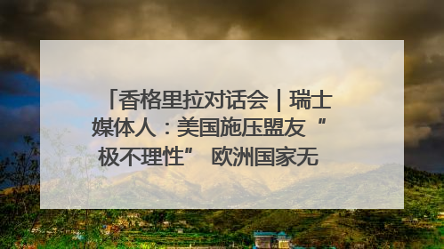香格里拉对话会｜瑞士媒体人：美国施压盟友“极不理性” 欧洲国家无意与中国“脱钩断链”