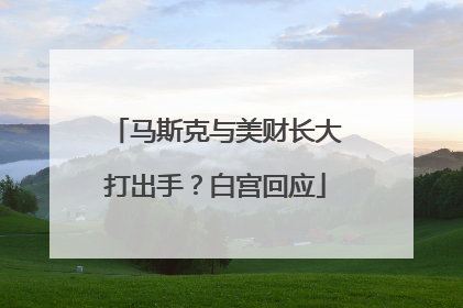 马斯克与美财长大打出手？白宫回应