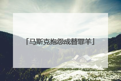马斯克抱怨成替罪羊