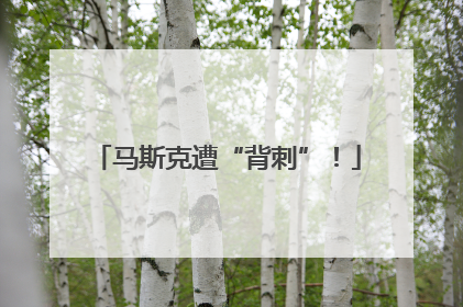 马斯克遭“背刺”！