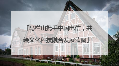 马栏山携手中国电信，共绘文化科技融合发展蓝图