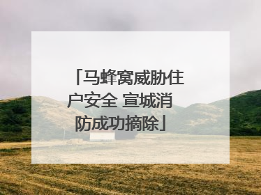 马蜂窝威胁住户安全 宣城消防成功摘除