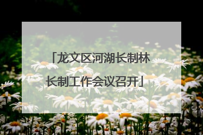 龙文区河湖长制林长制工作会议召开