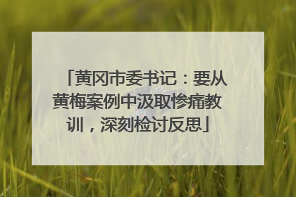 黄冈市委书记：要从黄梅案例中汲取惨痛教训，深刻检讨反思