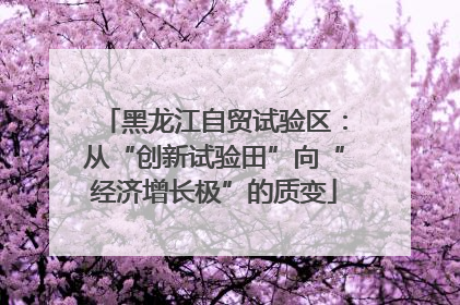 黑龙江自贸试验区：从“创新试验田”向“经济增长极”的质变