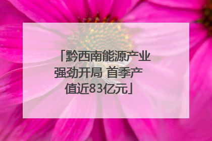 黔西南能源产业强劲开局 首季产值近83亿元