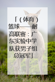 （体育）篮球——耐高联赛：广东实验中学队获男子组总冠军