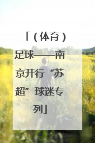 （体育）足球——南京开行“苏超”球迷专列