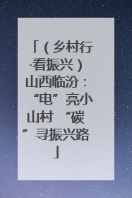（乡村行·看振兴）山西临汾：“电”亮小山村 “碳”寻振兴路