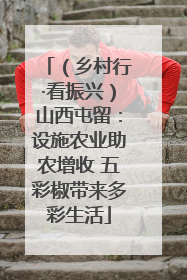 （乡村行·看振兴）山西屯留：设施农业助农增收 五彩椒带来多彩生活