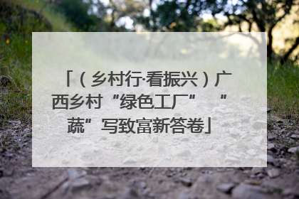 （乡村行·看振兴）广西乡村“绿色工厂” “蔬”写致富新答卷