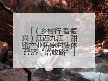 （乡村行·看振兴）江西九江：甜蜜产业拓宽村集体经济“增收路”
