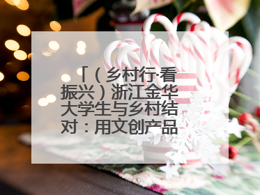 （乡村行·看振兴）浙江金华大学生与乡村结对：用文创产品赋能乡村振兴