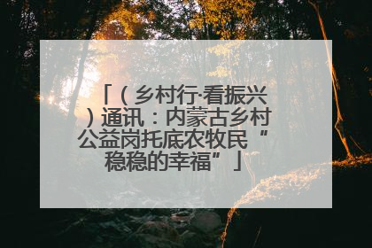 （乡村行·看振兴）通讯：内蒙古乡村公益岗托底农牧民“稳稳的幸福”