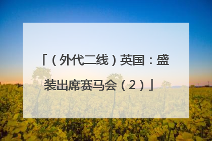 （外代二线）英国：盛装出席赛马会（2）