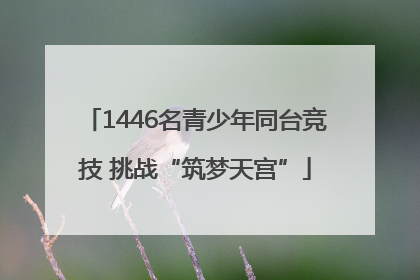 1446名青少年同台竞技 挑战“筑梦天宫”