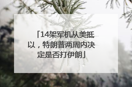 14架军机从美抵以，特朗普两周内决定是否打伊朗