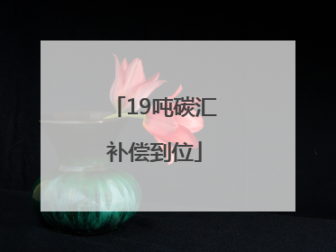 19吨碳汇补偿到位