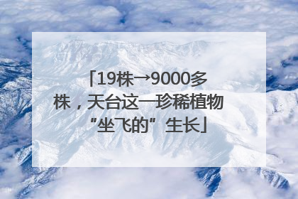 19株→9000多株，天台这一珍稀植物“坐飞的”生长