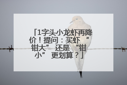 1字头小龙虾再降价！提问：买虾 “钳大” 还是 “钳小” 更划算？