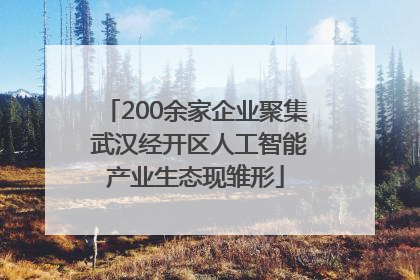 200余家企业聚集 武汉经开区人工智能产业生态现雏形