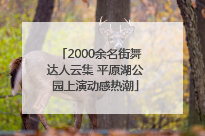 2000余名街舞达人云集 平原湖公园上演动感热潮