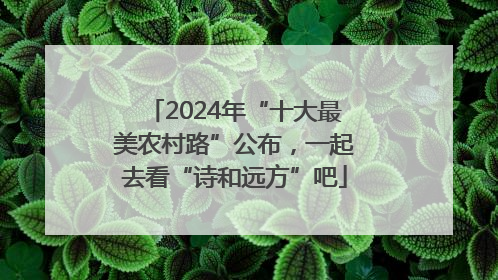 2024年“十大最美农村路”公布，一起去看“诗和远方”吧