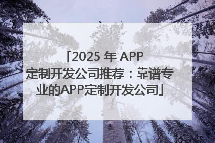 2025 年 APP 定制开发公司推荐：靠谱专业的APP定制开发公司