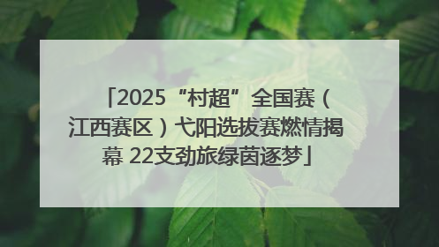 2025“村超”全国赛（江西赛区）弋阳选拔赛燃情揭幕 22支劲旅绿茵逐梦