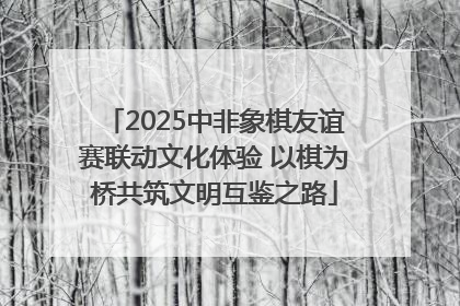 2025中非象棋友谊赛联动文化体验 以棋为桥共筑文明互鉴之路