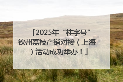 2025年“桂字号”钦州荔枝产销对接（上海）活动成功举办！