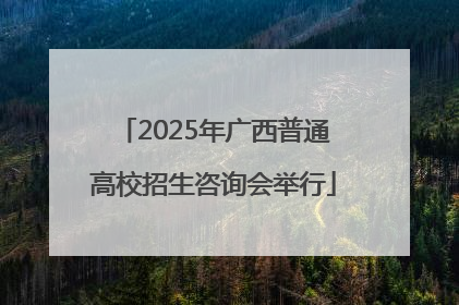 2025年广西普通高校招生咨询会举行