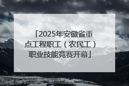 2025年安徽省重点工程职工（农民工）职业技能竞赛开幕