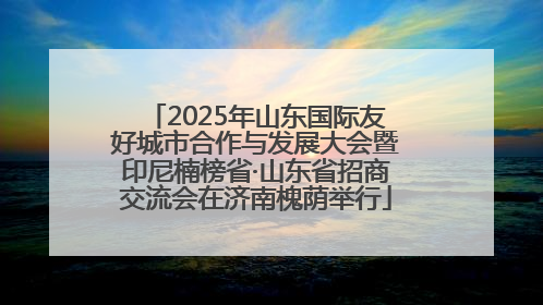 2025年山东国际友好城市合作与发展大会暨印尼楠榜省·山东省招商交流会在济南槐荫举行