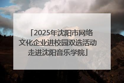 2025年沈阳市网络文化企业进校园双选活动走进沈阳音乐学院